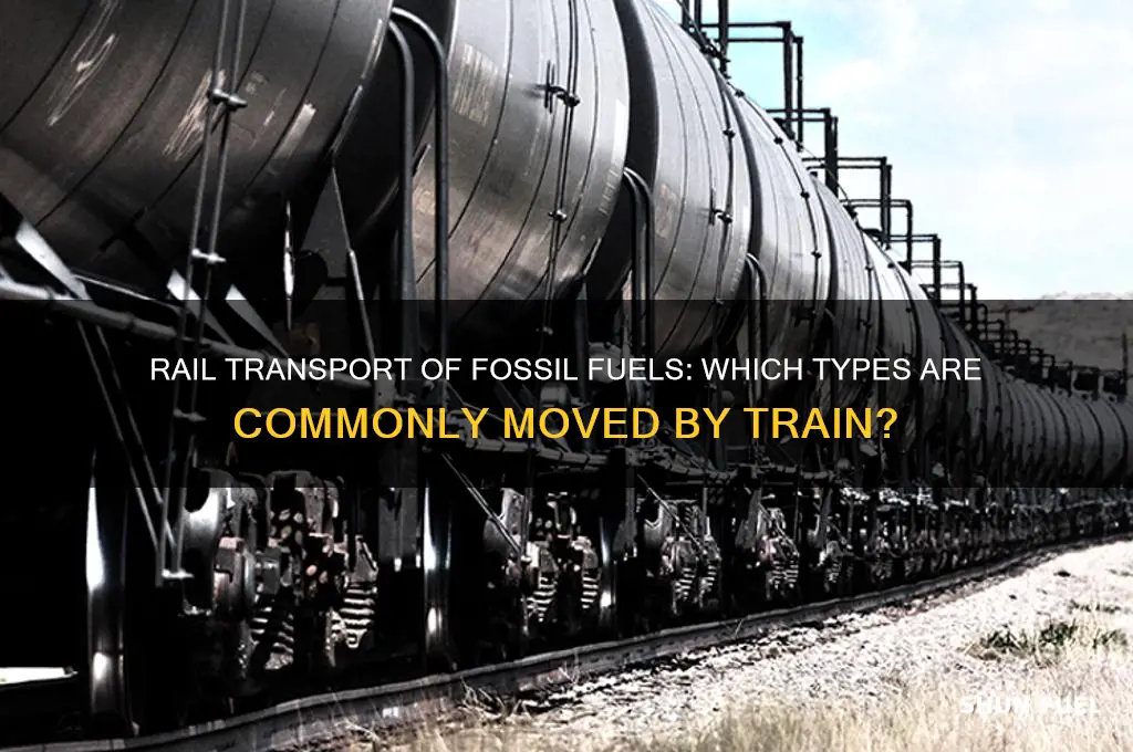 what fossil fuel is transported by rail