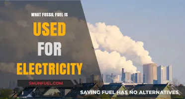 Powering the Grid: Which Fossil Fuel Generates Our Electricity?