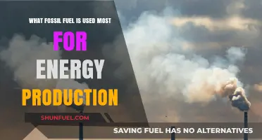 Dominant Fossil Fuel: Unveiling the Primary Energy Source in Global Production
