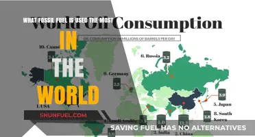 Global Energy Dominance: The Most Consumed Fossil Fuel Worldwide