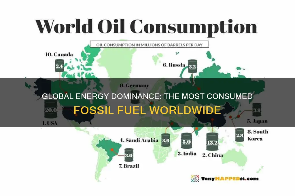 what fossil fuel is used the most in the world