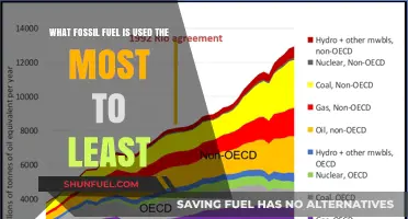 Ranking Fossil Fuels: Most to Least Used Globally in Energy Consumption