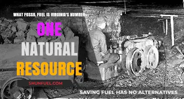 Virginia's Top Natural Resource: Unveiling the Dominant Fossil Fuel