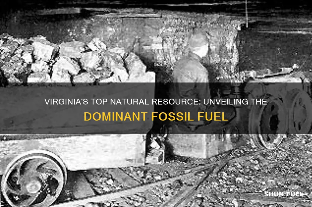 what fossil fuel is virginia