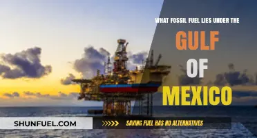Beneath the Gulf: Uncovering the Fossil Fuel Reserves Below