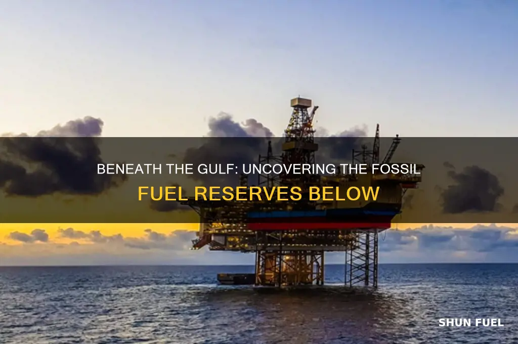 what fossil fuel lies under the gulf of mexico
