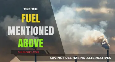 Unveiling the Dominant Fossil Fuel: A Comprehensive Exploration and Analysis