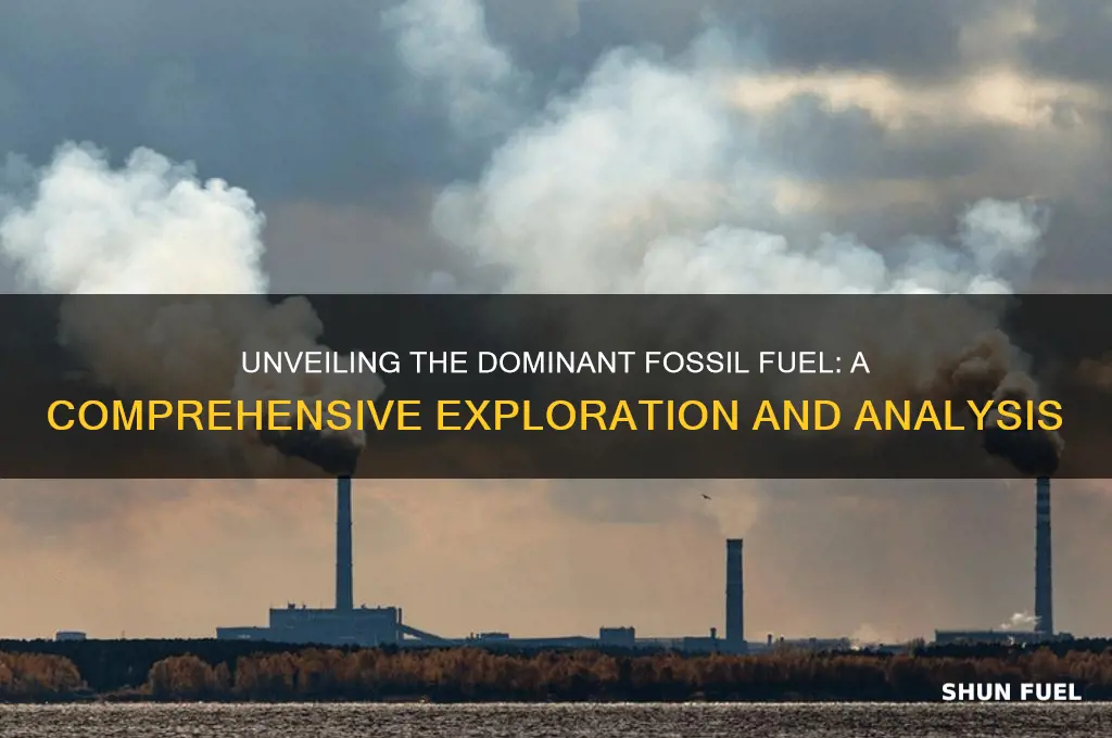 what fossil fuel mentioned above