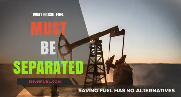 Separating Fossil Fuels: Which One Requires Extraction and Processing?
