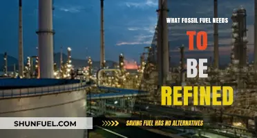 Refining Fossil Fuels: Which Resource Requires Processing for Energy Use?