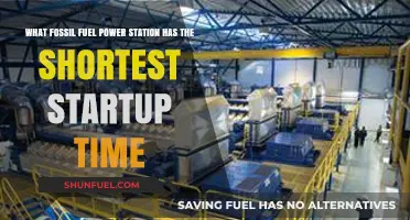 Quickest Startup: Which Fossil Fuel Power Plant Leads the Race?
