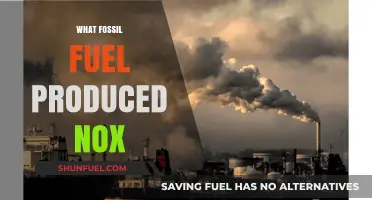 Which Fossil Fuel Produces the Least Nox Emissions?
