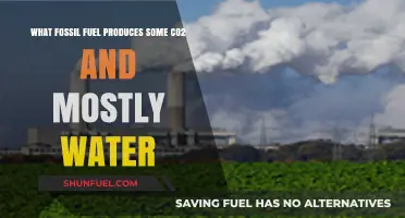Natural Gas: The Fossil Fuel Emitting CO2 and Primarily Water Vapor
