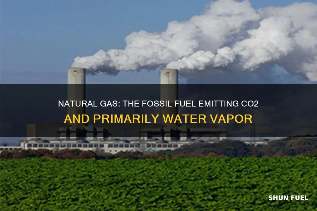 what fossil fuel produces some co2 and mostly water