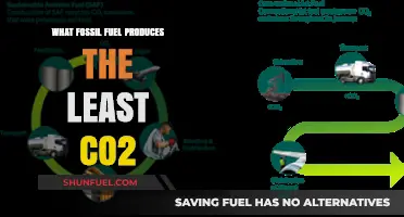 Comparing Fossil Fuels: Which One Emits the Least CO2?