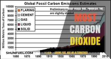 Which Fossil Fuel Emits the Most Carbon Dioxide: A Detailed Analysis