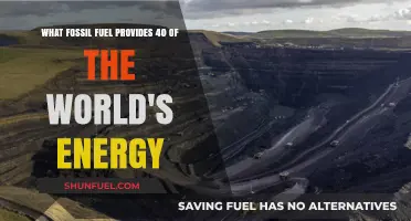 Coal Dominance: The Fossil Fuel Powering 40% of Global Energy