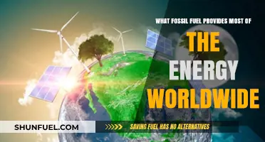 Global Energy Dominance: The Leading Fossil Fuel Powering the World