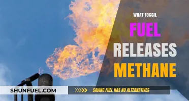 Methane Emissions: Which Fossil Fuel is the Primary Culprit?