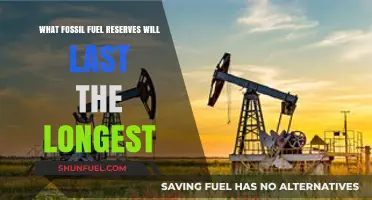 Which Fossil Fuel Reserves Have the Longest Lifespan Left?