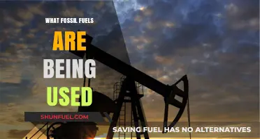 Exploring the Primary Fossil Fuels Powering Our World Today