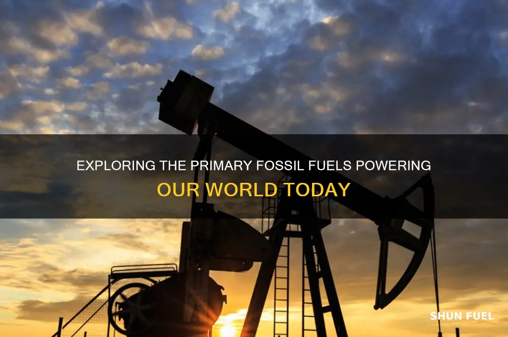 what fossil fuels are being used
