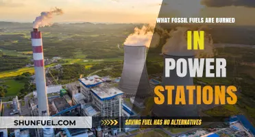 Powering Nations: Fossil Fuels Burned in Power Stations Explained