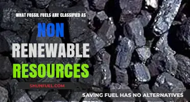 Why Fossil Fuels Are Classified as Non-Renewable Resources