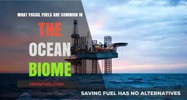 Exploring Ocean Biome's Hidden Fossil Fuels: Common Reserves Beneath the Waves