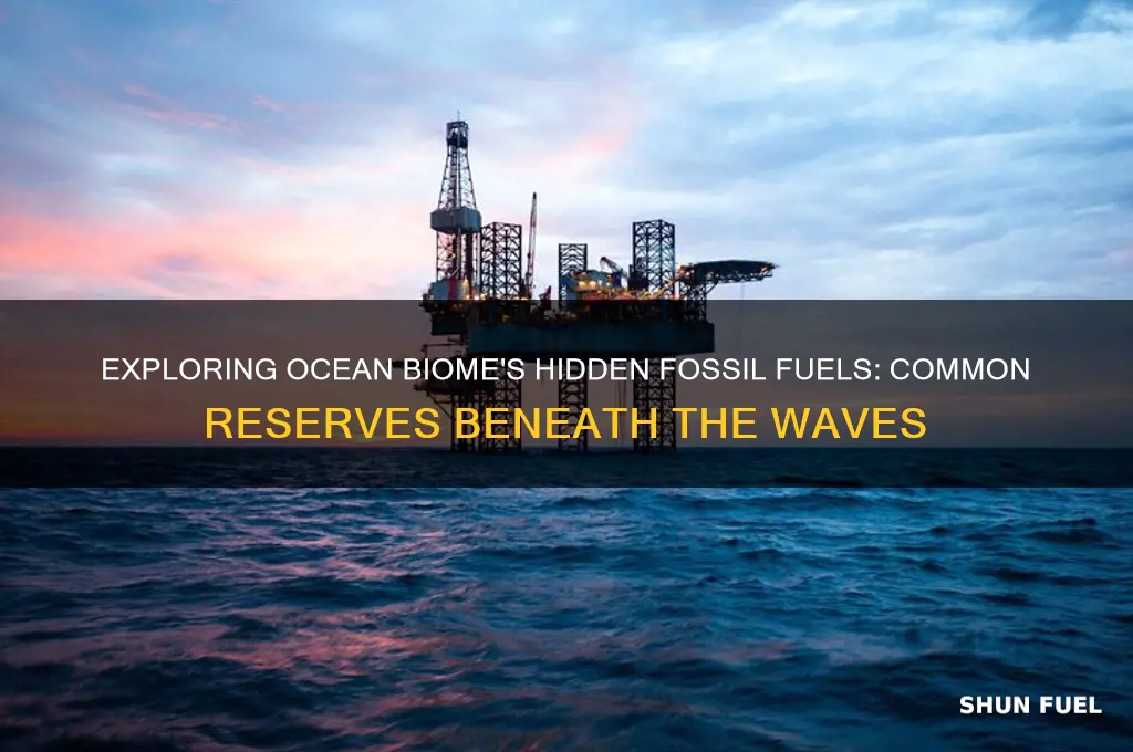 what fossil fuels are common in the ocean biome