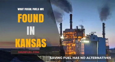 Kansas Fossil Fuels: Uncovering the State's Oil, Gas, and Coal Reserves