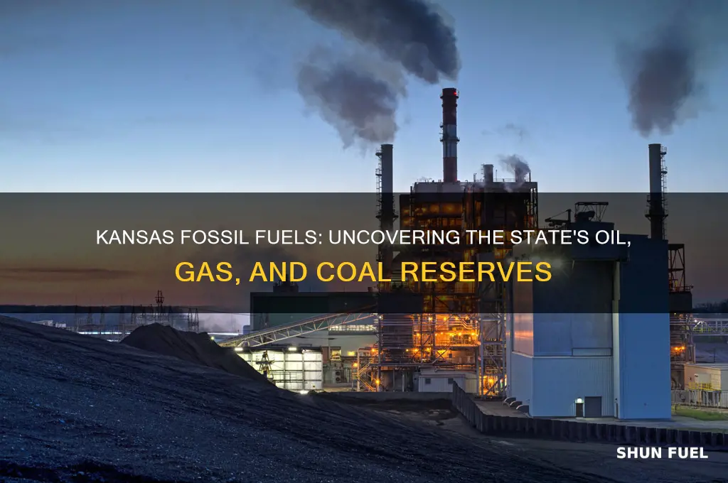 what fossil fuels are found in kansas