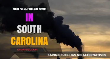 South Carolina's Fossil Fuel Reserves: Coal, Oil, and Natural Gas Explained