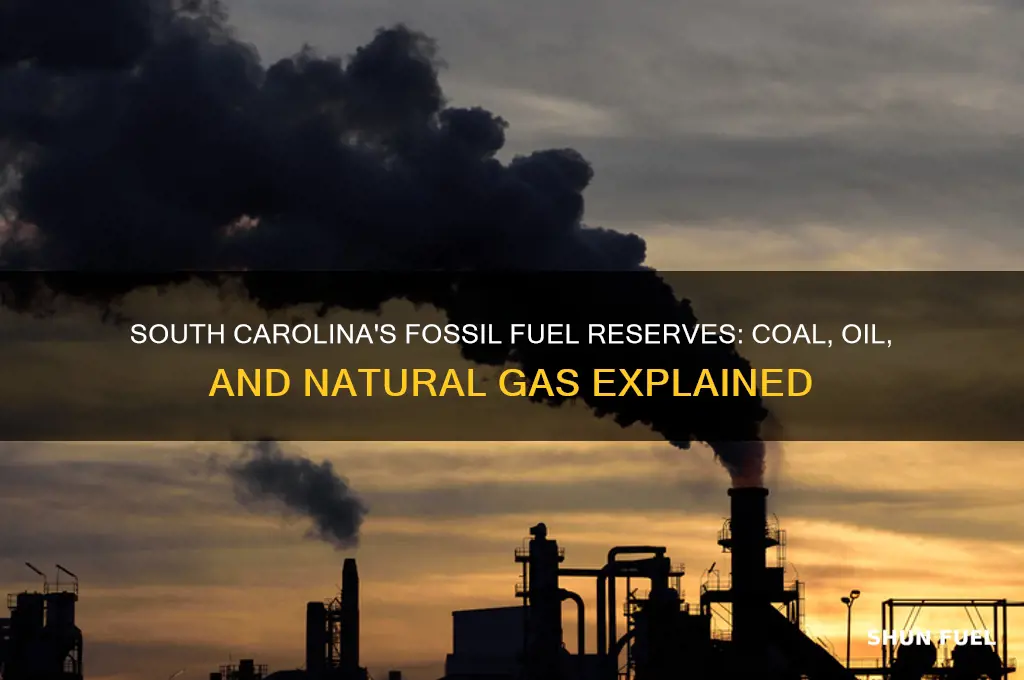 what fossil fuels are found in south carolina