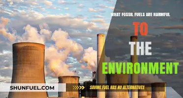 Fossil Fuels' Environmental Impact: Harmful Effects and Sustainable Alternatives