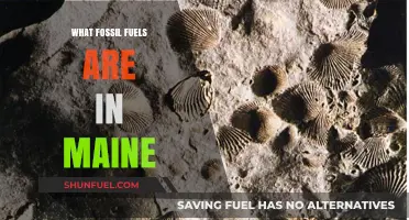 Exploring Maine's Hidden Fossil Fuel Resources: Types and Locations