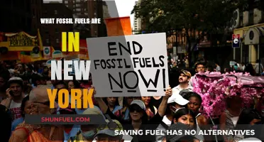 New York's Hidden Fossil Fuels: Uncovering the State's Energy Sources