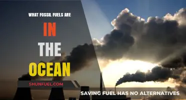 Exploring Ocean Fossil Fuels: Oil, Gas, and Coal Reserves Beneath the Waves