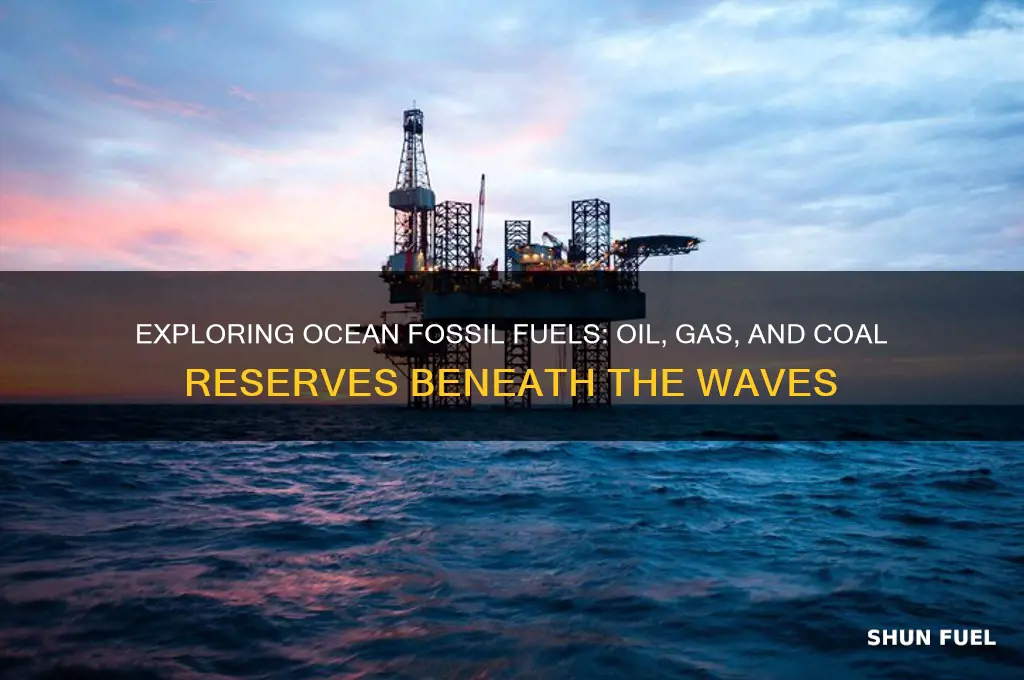 what fossil fuels are in the ocean