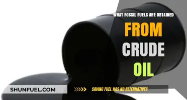 Crude Oil's Hidden Treasures: Unveiling Fossil Fuels Derived from Black Gold