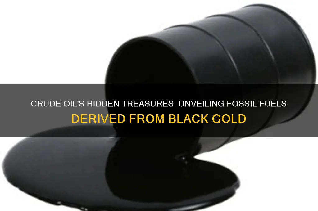 what fossil fuels are obtained from crude oil