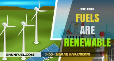 Fossil Fuels: Are Any Truly Renewable?