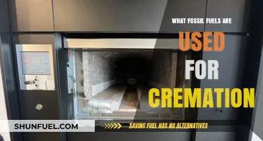 Cremation's Hidden Cost: Fossil Fuels Powering the Final Farewell