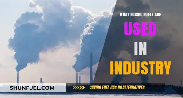 Industrial Fossil Fuels: Key Types and Their Essential Applications