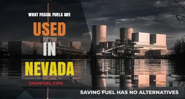 Nevada's Energy Sources: Exploring Fossil Fuels Used in the State