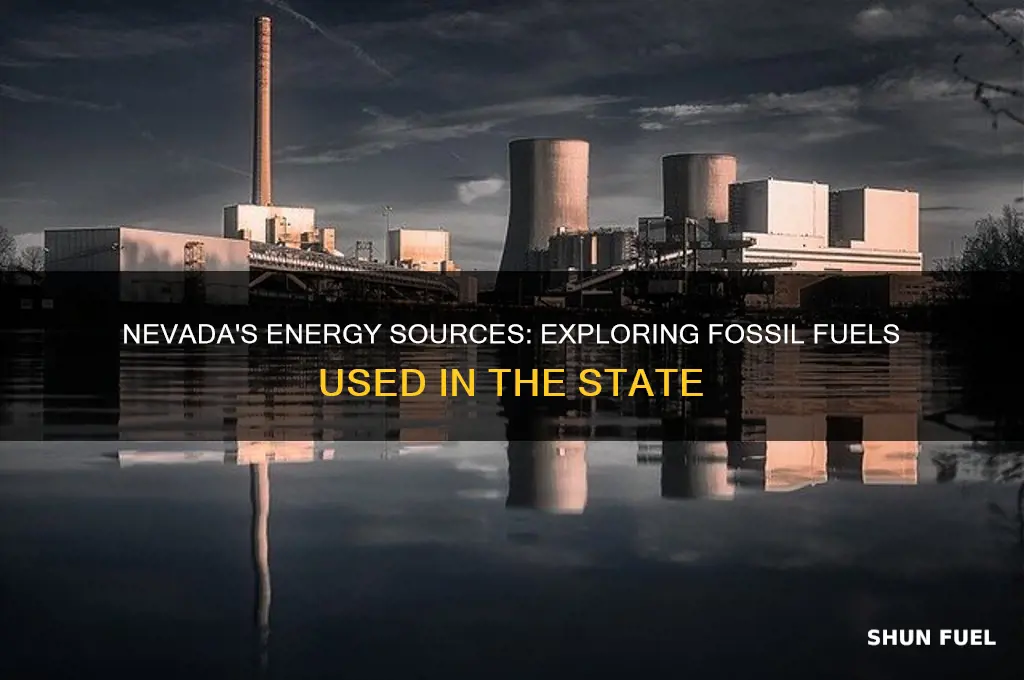 what fossil fuels are used in nevada
