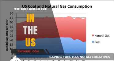 Exploring America's Energy Sources: Fossil Fuels Powering the US