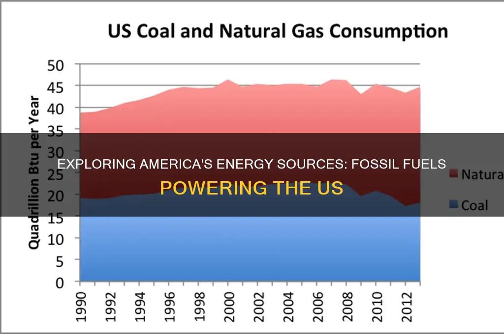what fossil fuels are used in the us