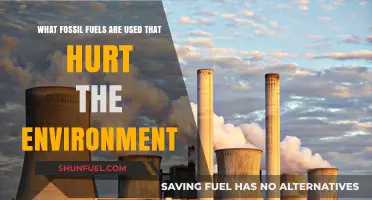 Fossil Fuels' Environmental Impact: Coal, Oil, and Gas Explained