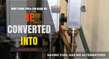 Algae Oil Conversion: Transforming into Sustainable Fossil Fuel Alternatives